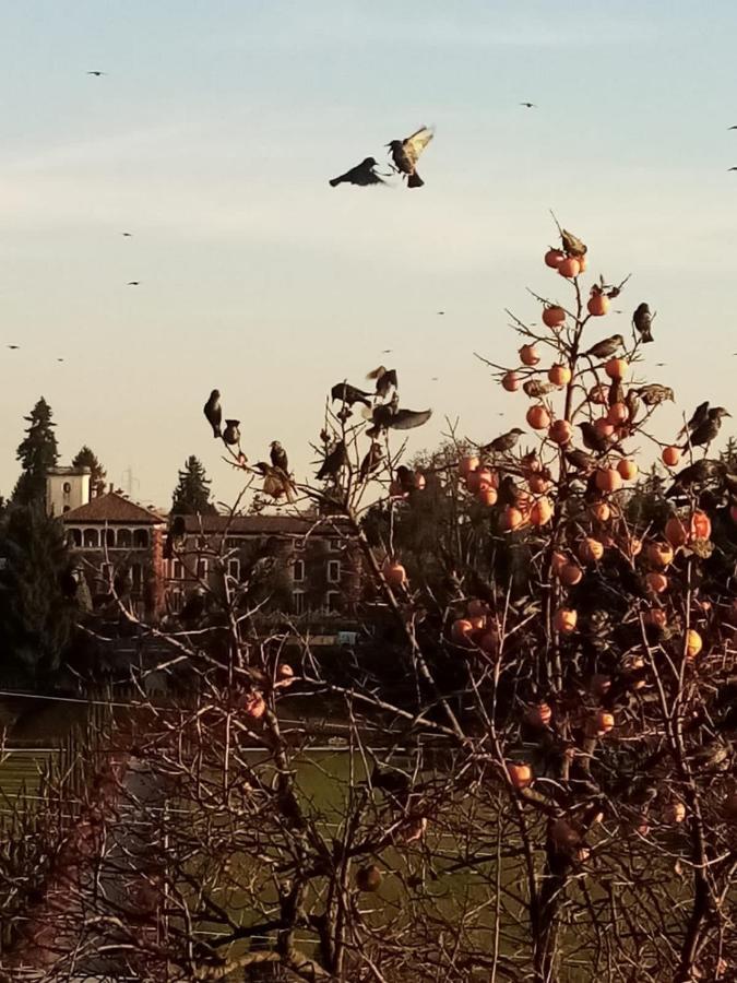 Castello Di Cernusco Lombardone B&B 외부 사진