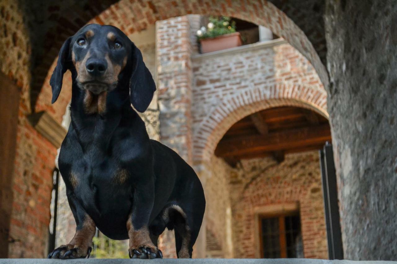 Castello Di Cernusco Lombardone B&B 외부 사진