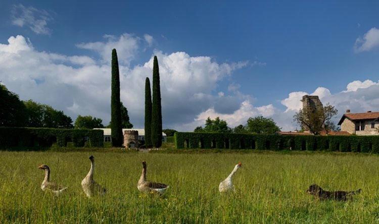 Castello Di Cernusco Lombardone B&B 외부 사진
